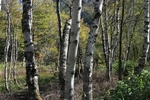 kamikouti.jpg