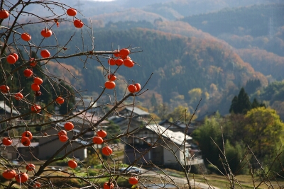 tatumi.jpg
